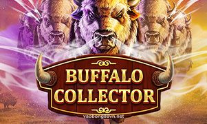 vaobong88vn Buffalo Collector
